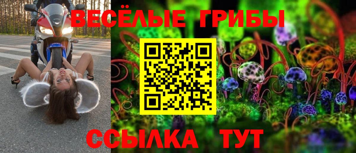 Галлюциногенные грибы Psilocybe  Вход с VPN  Самара 